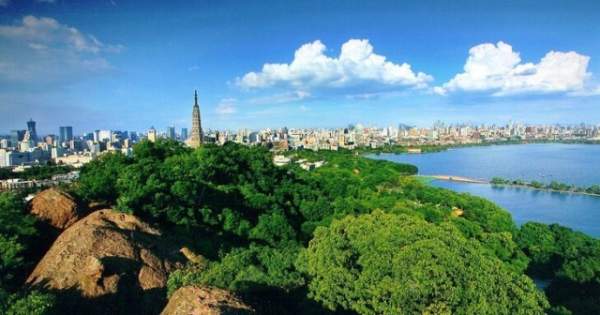 學習國外苗木行業經驗，搶先了解國內市場動態