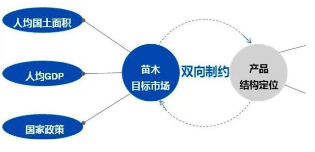 學習國外苗木行業經驗，搶先了解國內市場動態